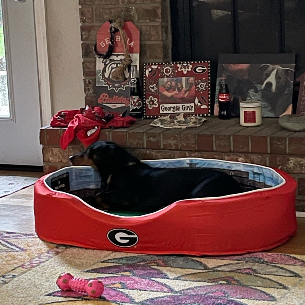 🎄 🎅 Georgia Bulldog Large Stadium Dog Bed NIB. - Picture 3 of 9
